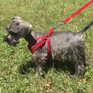 Meet your Posher, Jaelynn